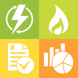 Especialistas en Energía Eléctrica y Gas Natural - Auditoría de Facturación - Negociación - Inteligencia de Mercado-Regulación